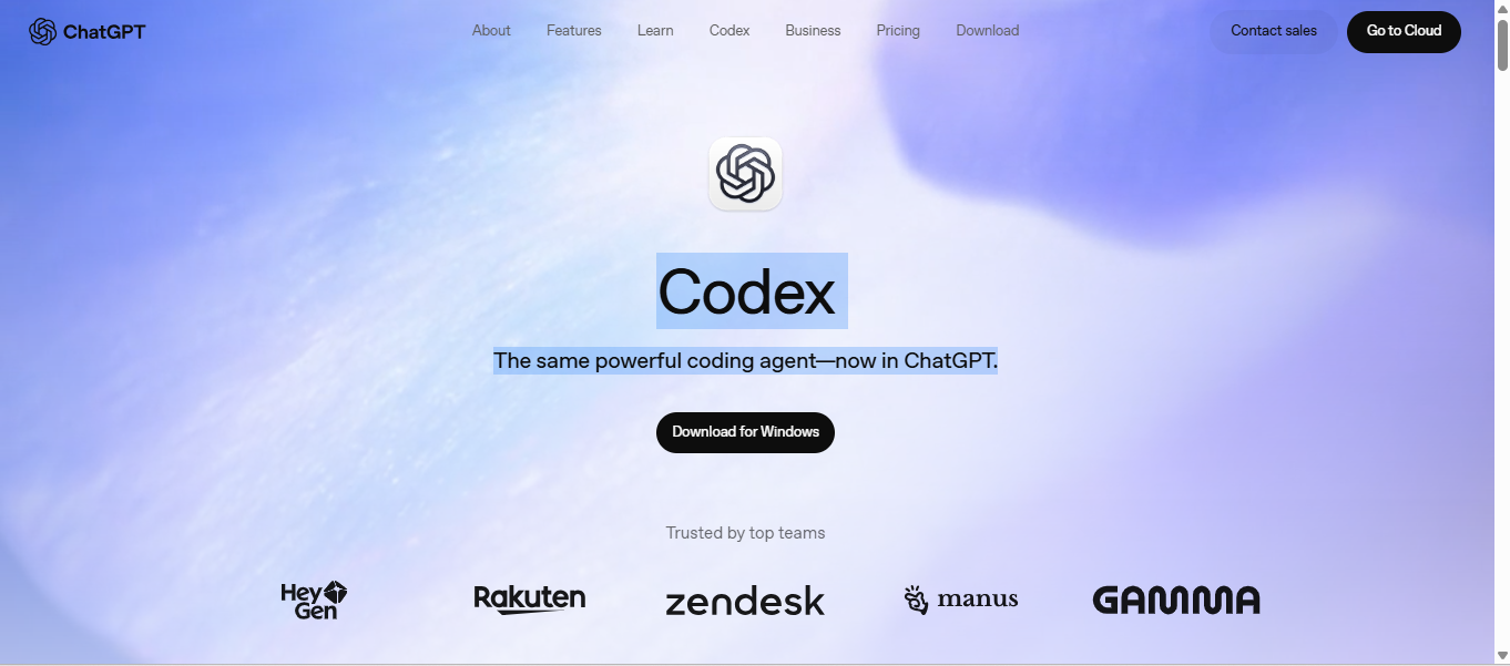 Chatgpt screenshot 3