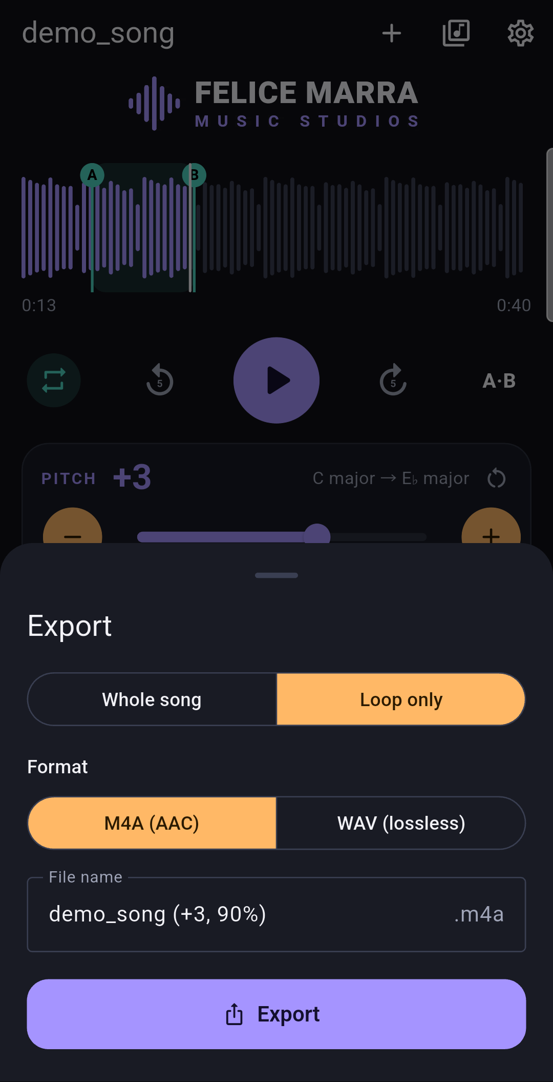 Music Pitch & Speed Changer screenshot 4
