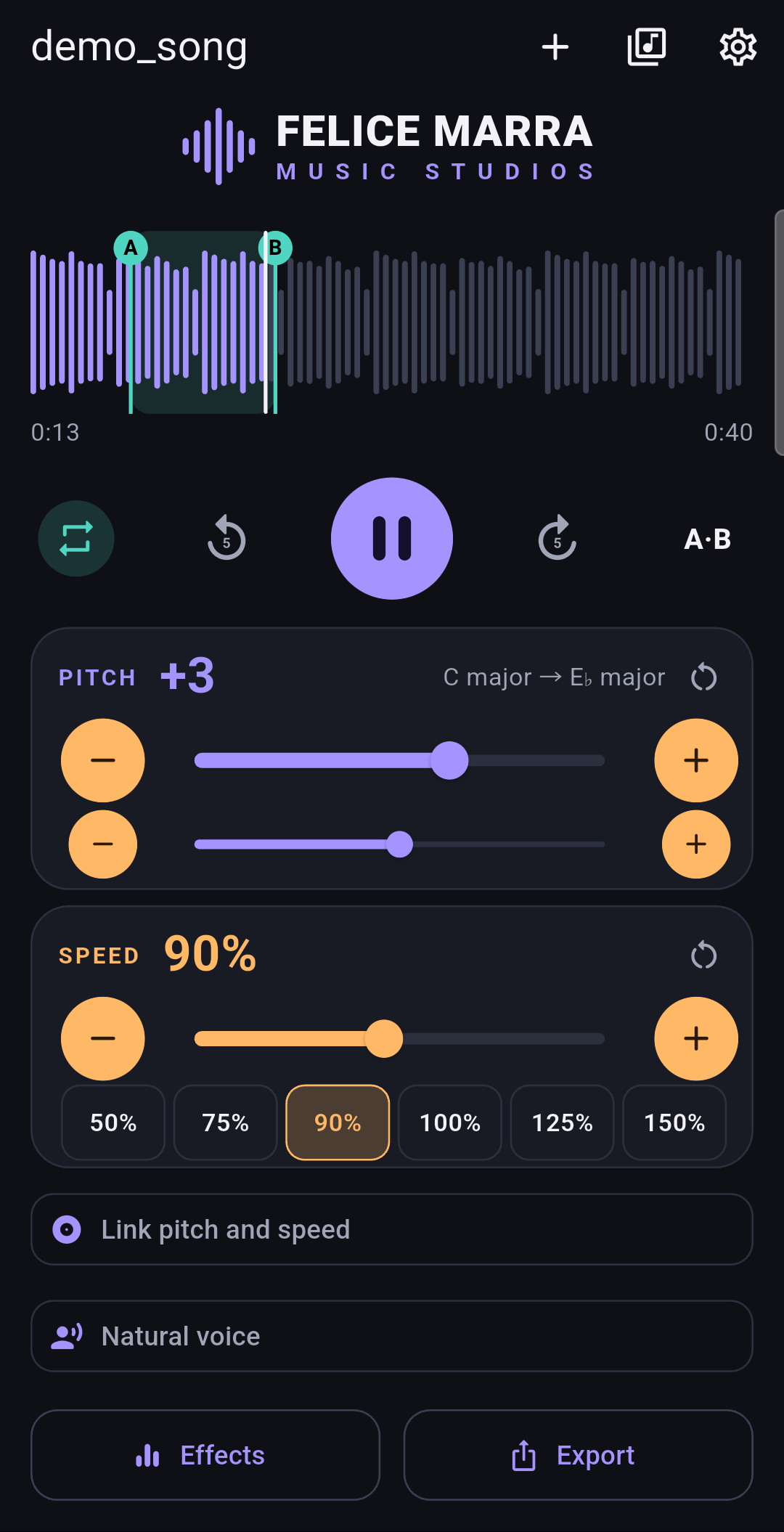 Music Pitch & Speed Changer screenshot 2